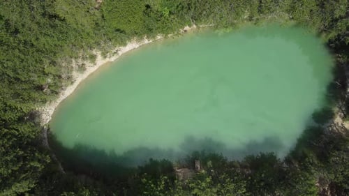 Aerial Lake in Forest
