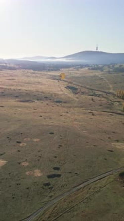 Vertical drone hot air balloon landing field Canberra morning tourism outer suburbs
