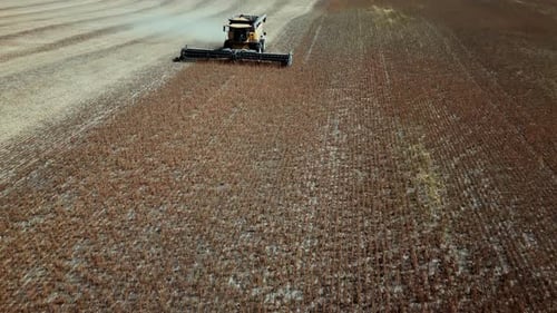 An Establishing Drone Close Up Reveals a Yellow Tractor Combine Harvesting a Farm Crop under a Blue
