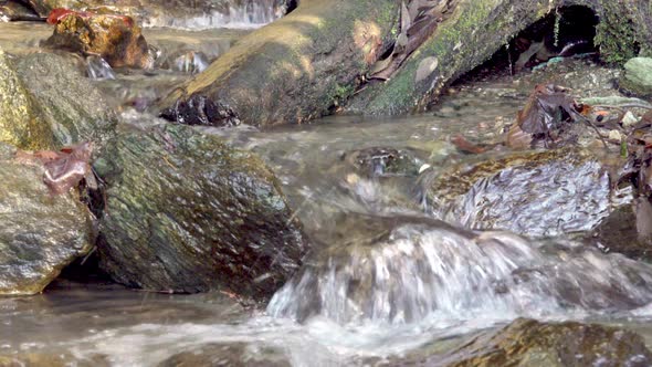 A natural stream flows over a rocky surface. Nature in harmony, Nature ...