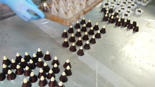 Baker hands making chocolate candies. Confectionery specialist hands in gloves making tasty candies.