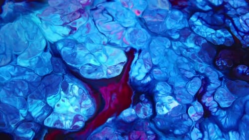Abstract Fluid Mixing with Vibrant Color Patterns