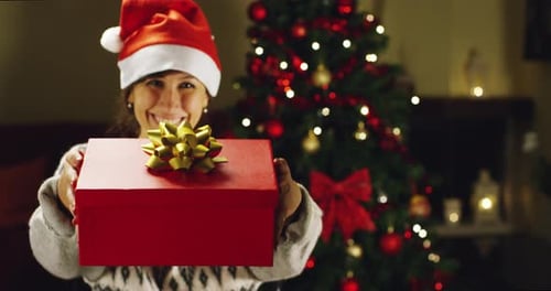 Woman Offers Christmas Gift by Christmas Tree
