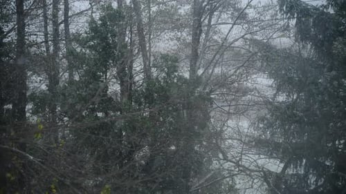 Beautiful Winter Background with Falling Snow Outside on Winter Day View of Busy Road From the House