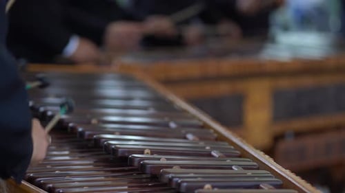 Musicians playing marimba. Close up of marimba players.