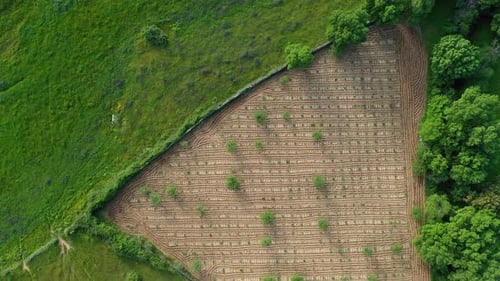 Textures de prairies verdoyantes et de vignobles labourés