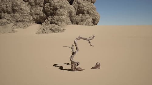 A Dead Tree in the Middle of a Desert