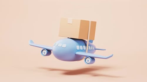 Loop plane and cardboard box