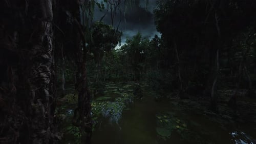 Scène nocturne dans la jungle Sentier nocturne dans la jungle avec piscines réfléchissantes