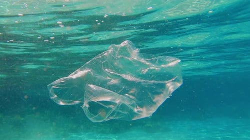 A plastic bag is floating in a sea/ocean. Plastic pollution, big environmental problem.