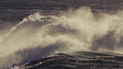 Waves Crashing in the Sea