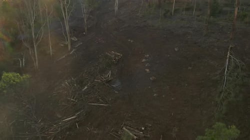 Static aerial perspective of smouldering fire in land clearing.