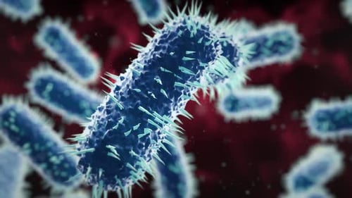 Animated Bacteria and Microorganisms Macro View