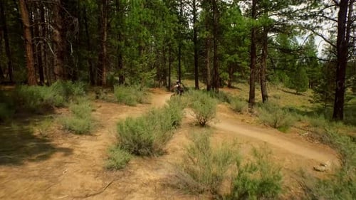 Mountain biker rides through Oregon bike trail with snow capped mountains