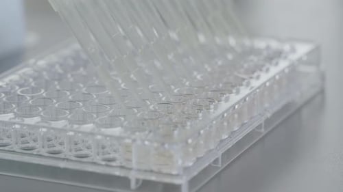 Pipette Tips over Scientific Test Tubes
