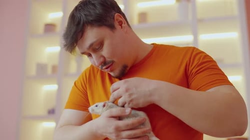 Man Gently Petting a Gray and White Rat