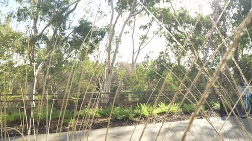 Gatlinburg, TN / USA - July 10, 2017: Couple on Bikes Tracking
