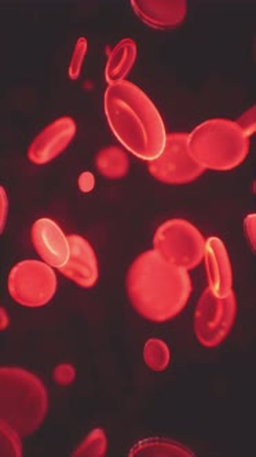 Healthy Human Red Bloodcells Abstract Concept