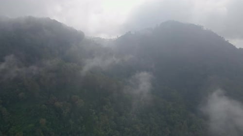 Drone fly through the mist over mountain forest. Fog shrouded the mountain forest.