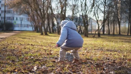 Happy Baby Child Outdoor Little Toddler Boy with Toy Car Having Fun on Walk in Park Baby Son Smiling