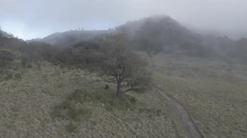 Lawu Mountain, Zentral-Java, Indonesien