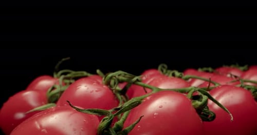 Juicy red cocktail tomatoes super close-up with dark background unique high resolution 4k shoot Came