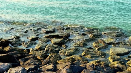 Serene Coastal Rocks Immersed in Turquoise Waters – 4K Natural Beauty .