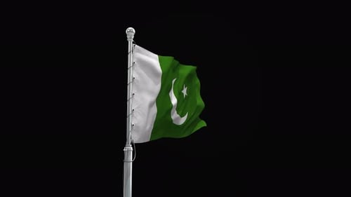 Pakistan National Flag Waving on Pole