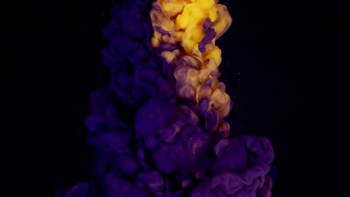 Fluid Art Ink Mixed on Water Red Blue Yellow and White Mix Color on Black Background Slow Motion