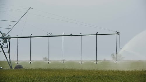 Agricultural Irrigation System Watering Crops in Open Field