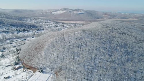 Aerial View of a Frozen Forest with Snow Covered Trees at Winter Flight Above Winter Forest Aerial