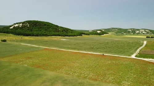 Aerial View on Green Wheat Field in Countryside