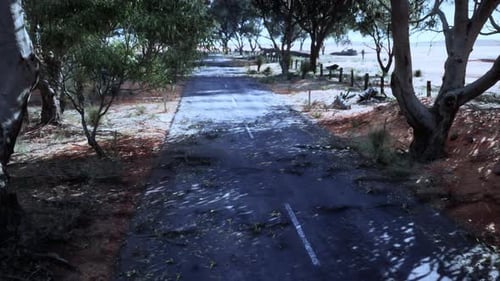 A Scenic Dirt Road with a Beautiful Treelined Landscape