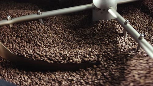 Roasting Coffee Beans in a Metal Drum
