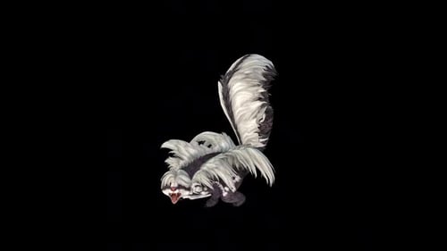 Wild Skunk Spray Idle