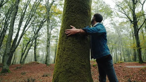 Man Hugging Tree in Quiet Autumn Forest