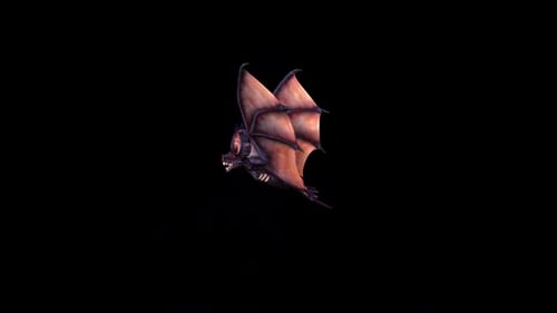 Animated Flying Bat with Open Mouth and Fangs