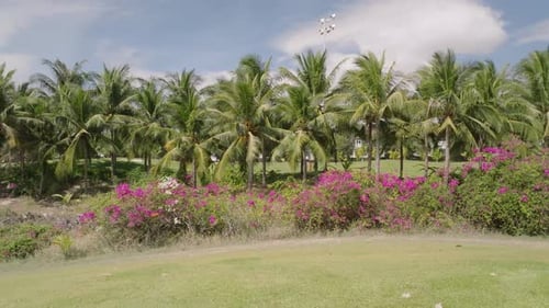 Vibrant Tropical Foliage with Palm Trees and Flowers