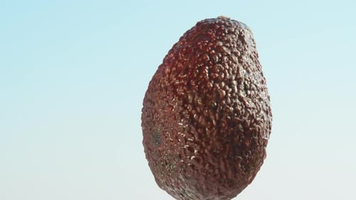 A black avocado rotates against the background of a blue sky in close-up.