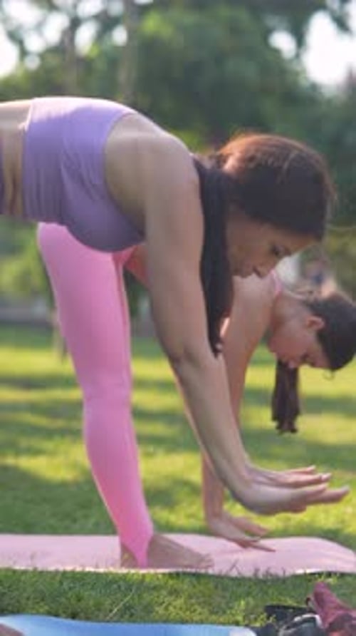 Women Doing Yoga in the Park on Yoga Mats