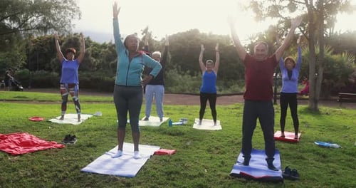 Multiracial senior people enjoying yoga exercises in a sunny city park