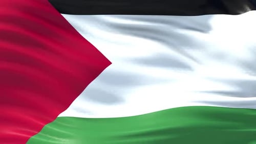 Waving Palestinian Flag Seamless Loop Background