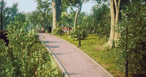 Walking Path in a Sunny Park Surrounded By Greenery and Benches