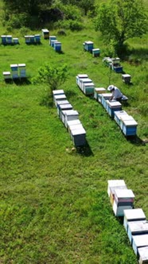 Beehive boxes on a bee farm. Wooden hives on the apiary in summer. Beekeeper works on the apiary.