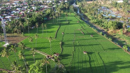 Villages Pungka sur l'île de Sumbawa