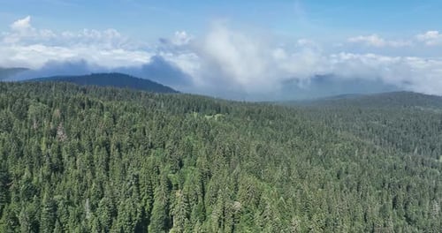 Aerial View of Forested Mountains and Blue Sky