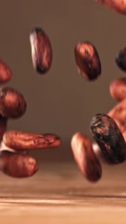 Cocoa Beans Fall on the Table Filmed on a Highspeed Camera at 1000 Fps