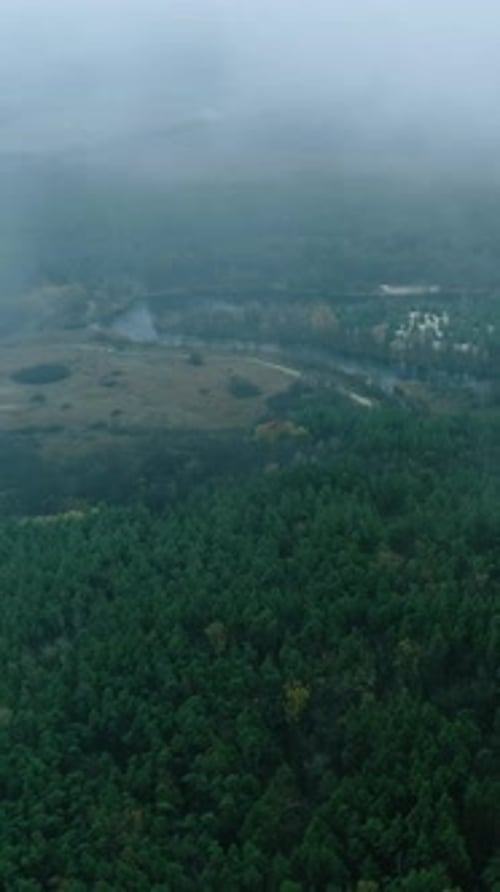 Vertical Drone Landscape Misty Forest Foggy Nature