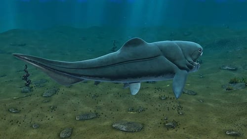 3D Animation of Prehistoric Dunkleosteus Swimming Underwater