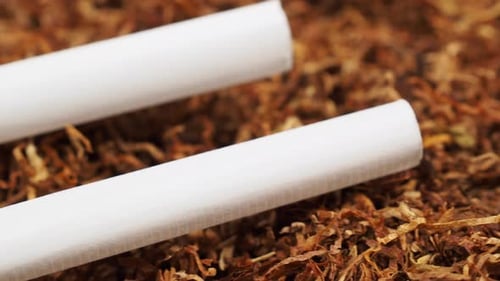 cigarette tubes and tobacco Cigarette Tubes and Tobacco Close Up cigarette tubes and tobacco Cigarette Tubes and Tobacco Close Up